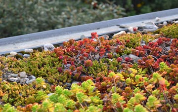 the cost of Stoney Stretton green roof installation