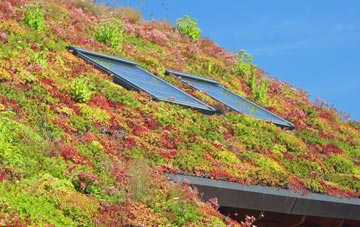 Stoney Stretton living roof systems